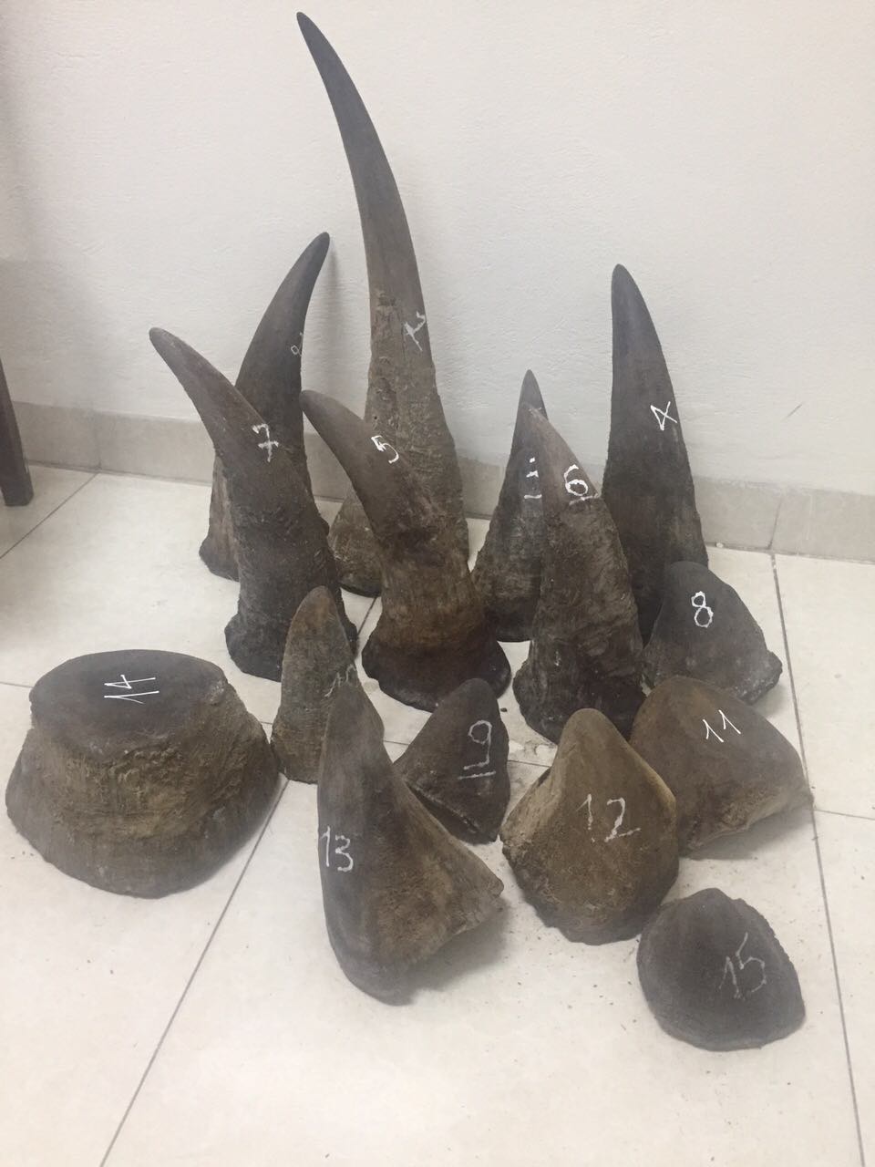 Tăng[-]nặng[-]hình[-]phạt[-]với[-]trùm[-]buôn[-]lậu[-]sừng[-]tê[-]giác[-]xuyên[-]quốc[-]gia